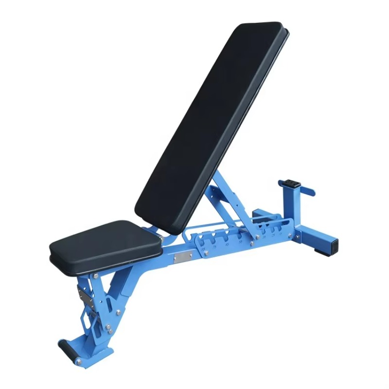 Home Gym Dumbbells - Panche regolabili con manubri piatti pieghevoli