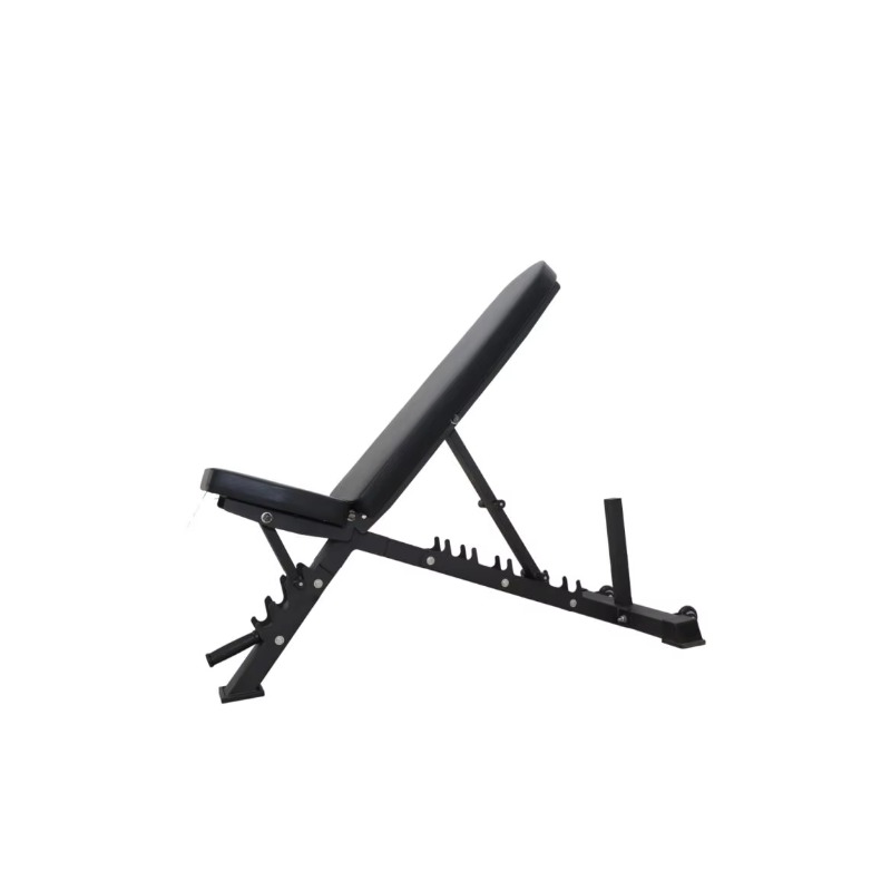 Panca con manubri regolabile d - Home Gym Dumbbells recensione e prezzo