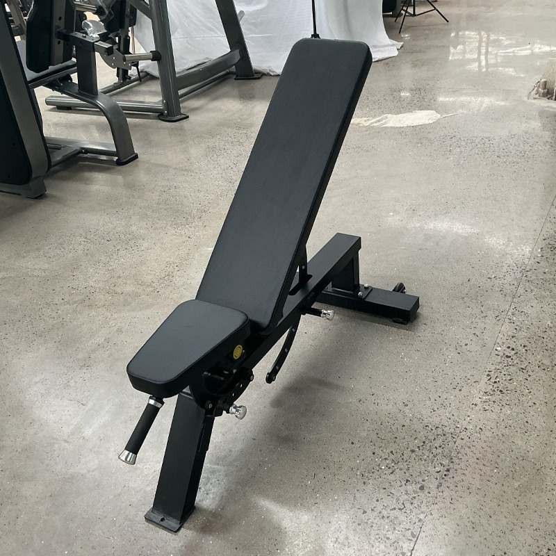 Panca per Manubri Regolabile p - Home Gym Dumbbells recensione e prezzo